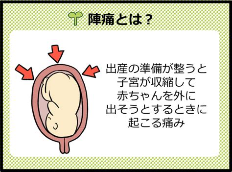 陣痛 位置|陣痛ってどんな痛み？長さや始まり、兆しは？対処法。